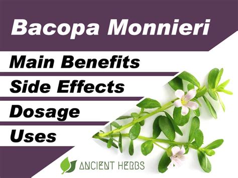 Bacopa Monnieri Benefits Uses Dosage Side Effects