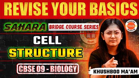 Revise Your Cell Structure Basics Sahara Bridge Course Series