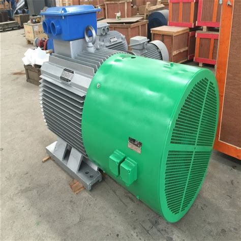 Customized Radial Flux High Efficient Kw Rpm Permanent Magnet