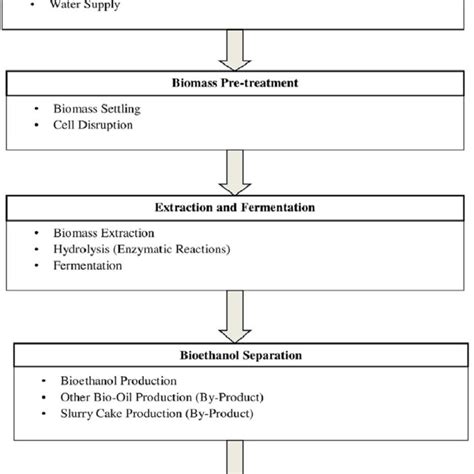 Technical Steps For Bioethanol Production From Microalgae 28 Color Download Scientific