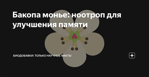 Бакопа монье: ноотроп для улучшения памяти | Биодобавки: только научные ...