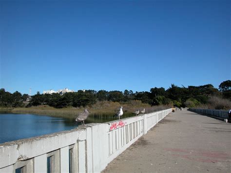 Lake Merced : San Francisco Neighborhoods