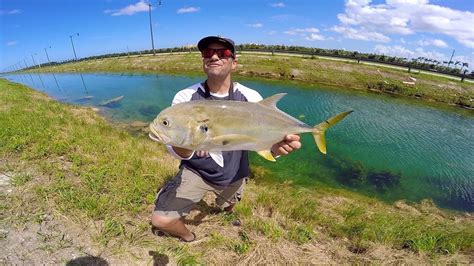 Ultra Clear DITCH Fishing In MIAMI MASSIVE Canal Jack Crevalle YouTube