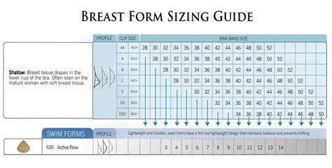 Breast Prosthesis Size Chart: A Visual Reference of Charts | Chart Master