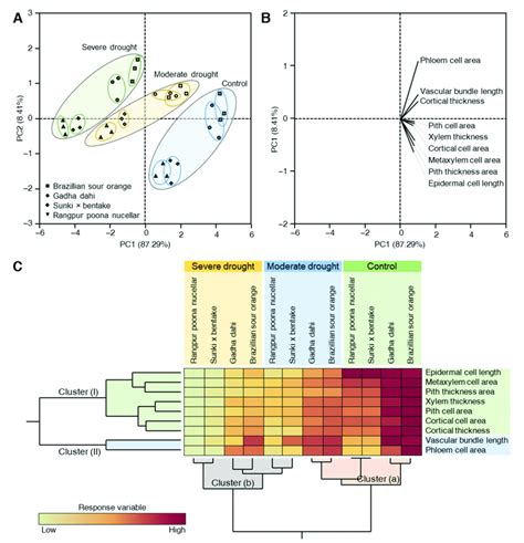 Principal Component Analysis Pca And Two Way Hierarchical Cluster