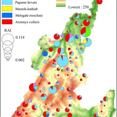 Spatial Distributions Of Several Carnivores And The Composition Of