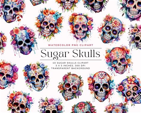 Watercolor Sugar Skull Clipart Watercolor Clipartskulls With Etsy