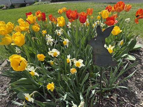 Harmony at State College - We are excited to announce our NEW Signature