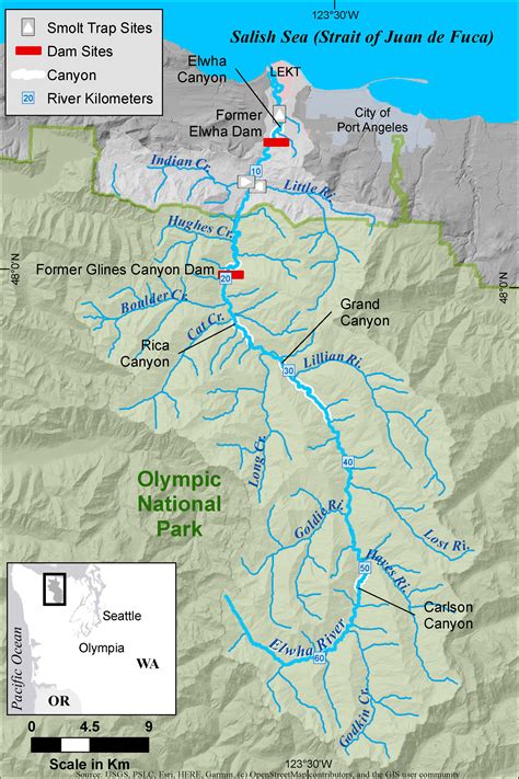 Frontiers Modeling Timing And Size Of Juvenile Chinook Salmon Out