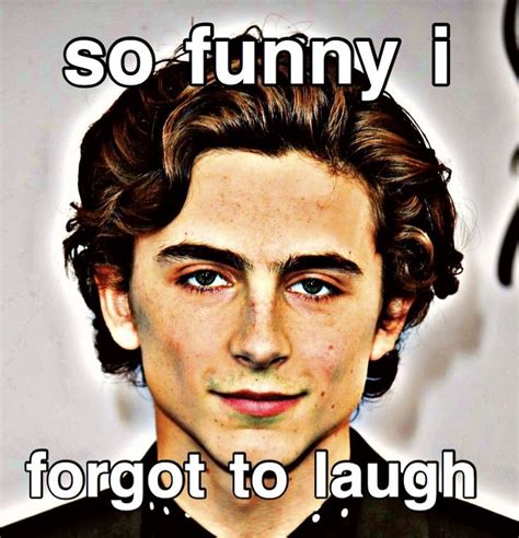 Timothée chalamet meme/reaction pic | Celebrity memes, Reaction ...