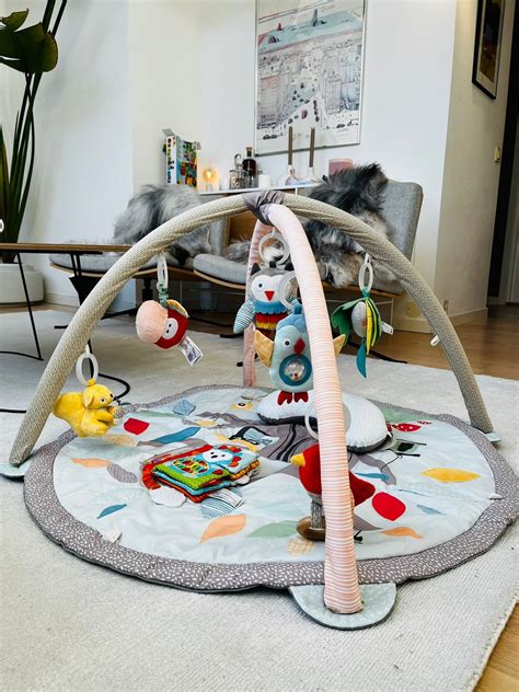 Skip Hop Babygym I Pastell FINN Torget