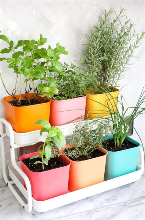 DIY Colorful Indoor Herb Garden | DIYIdeaCenter.com