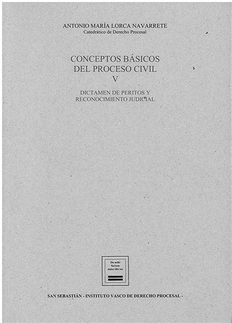 Libro Conceptos B Sicos Del Proceso Civil Lorca