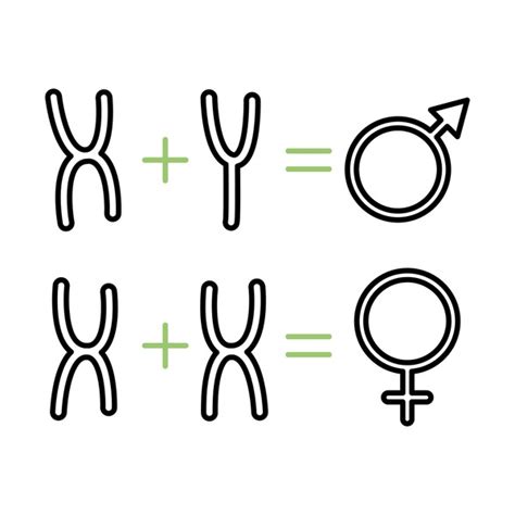 Determining Sex Baby Royalty Free Images Stock Photos Pictures Shutterstock