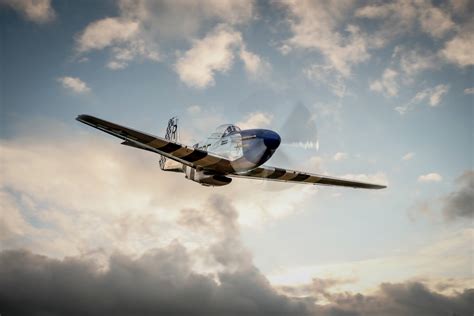 North American P Mustang Poster Kunstdrucke Fototapeten