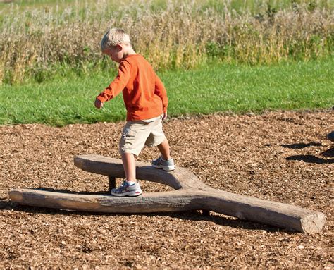 Log Balance Beam Nature Themed Landscape Structures