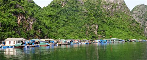 Visiting The Worlds Most Beautiful Fishing Village In Quang Ninh Province