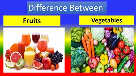 Difference Between Fruits And Vegetables YouTube