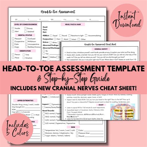 Head To Toe Assessment Template With Cranial Nerves Assessment Etsy