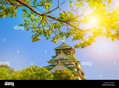 Osaka Castle cherry blossoms Stock Photo - Alamy