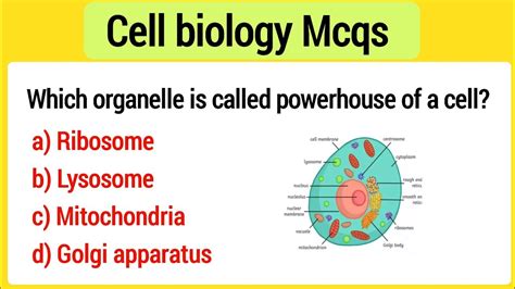 Cell Biology Mcq Cell Mcq Cytology Mcq Biology Mcq Youtube