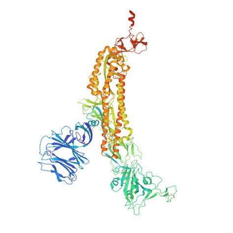 RCSB PDB 6ZP0 Structure Of SARS CoV 2 Spike Protein Trimer Single