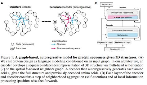 读文献Generative models for graph based protein design 蛋白质设计 CSDN博客