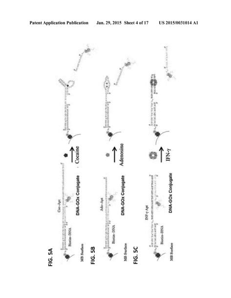 Labelled Diagram Of Ph Meter