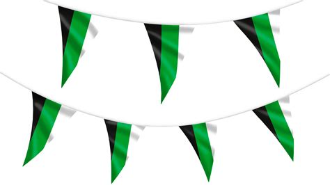 Neutrois Pride Bunting Hampshire Flag Company