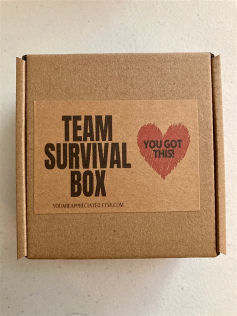 Team Survival Kit Best Employee Appreciation Tsunique Etsy