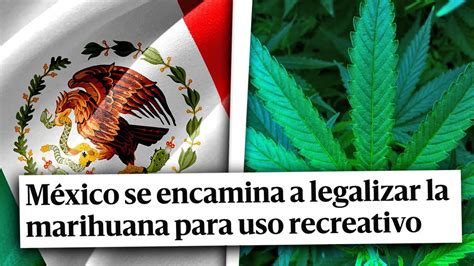 Mexico EstÁ A Punto De Legalizar El Cannabis ¿se Debería Hacer En Todo El Mundo Youtube