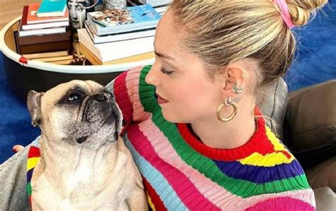 Chiara Ferragni Paura Per La Sua Cagnolina Matilda Cosa Successo