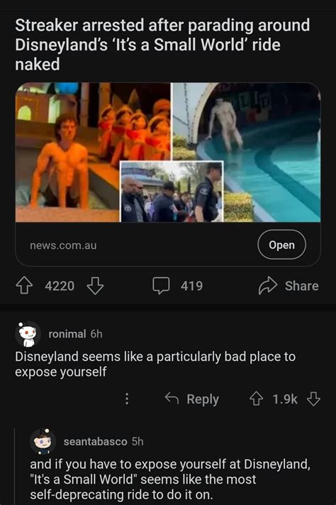 Streaker Arrested After Parading Around Disneyland S It S A Small World Ride Naked News Au