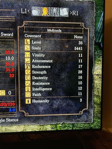 Just got the Balder Side Sword… is it too late to switch to a dex build? : r/darksouls