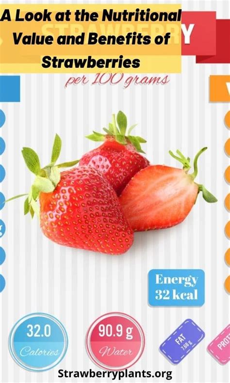 Nutritional Value & Benefits of Strawberries (All You Need to Know)