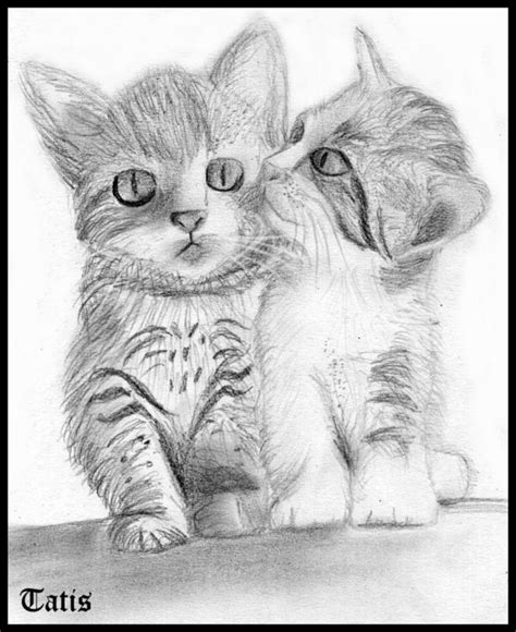 Dibujos A Lápiz De Gatos Tiernos Imagui