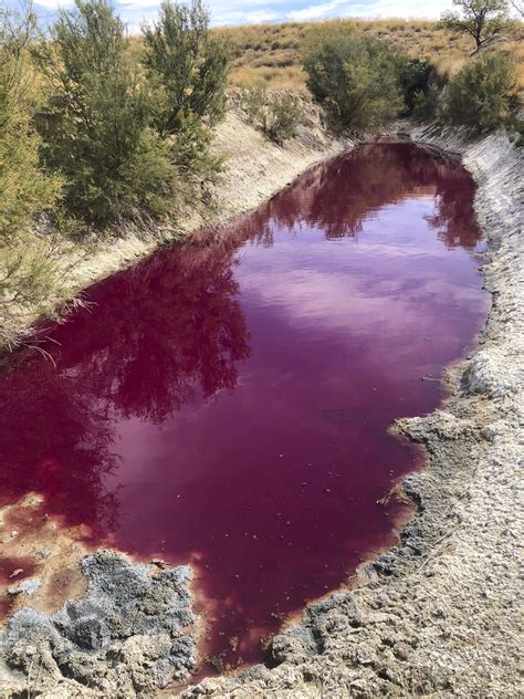 Por Qu La Laguna De Colmenar De Oreja Madrid Se Ti E De Rojo En Oto O