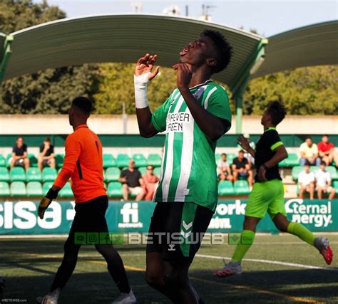 Galería de fotos del Betis DH San Roque Bpie Betisweb