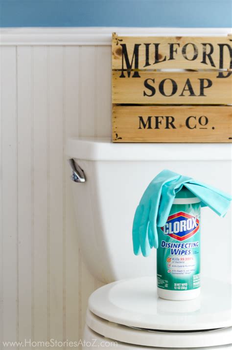 Spring Cleaning: How to Clean a Toilet | Home Stories A to Z