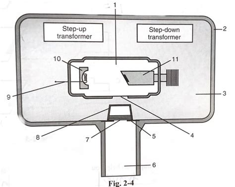 Xray Parts Flashcards Quizlet