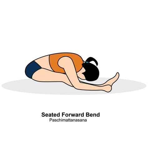 Woman Doing Yoga Seated Forward Bend Pose Pro Vector Illustration