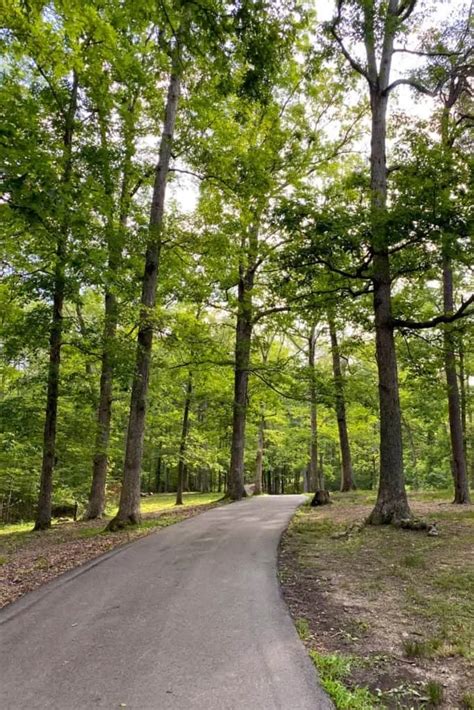 East Pinnacle Trail (Berea, Kentucky) - Champagne Tastes®