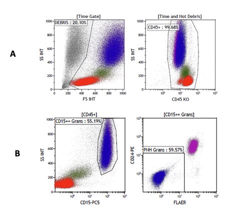 International Clinical Cytometry Society