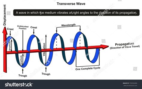 Transverse Wave Labelled Diagram