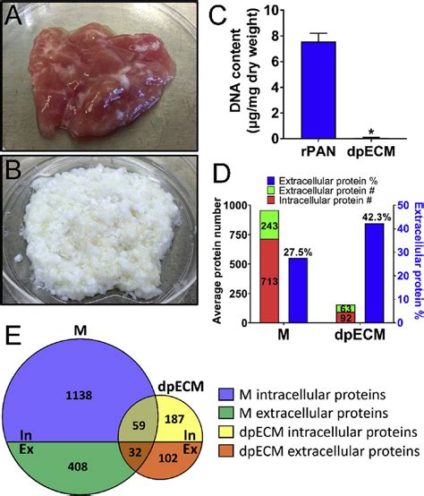 Characterization And Proteomic Analysis Of Decellularized Pancreatic