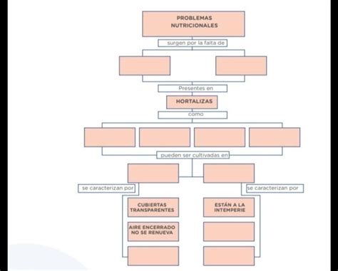 Elabora Un Mapa Conceptual Puedes Completar El Mapa De La Siguiente Página Brainlylat