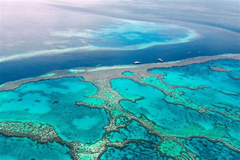 Snorkeling the Great Barrier Reef in Australia | Great barrier reef snorkeling, Great barrier ...