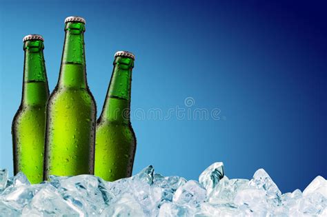 De Flessen Van Het Bier Op Ijs Stock Afbeelding Image Of Fles