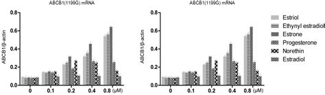 Effects Of The Abcb1 1199g A Polymorphism On Steroid Sex Hormone Induced P Glycoprotein