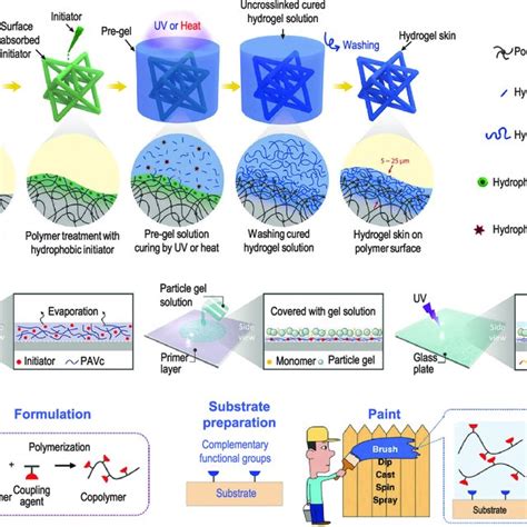 Pdf Functional Hydrogel Coatings